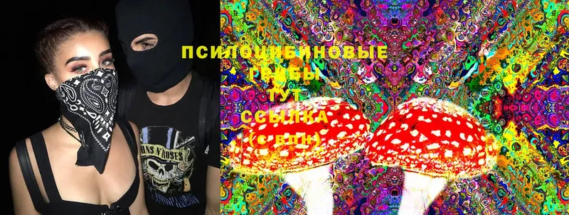 Псилоцибиновые грибы Magic Shrooms  как найти закладки  Всеволожск 